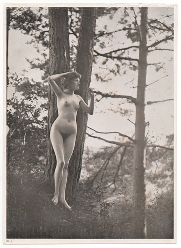 Stampa fotografica giovane - stampa,