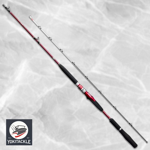 Canna pesca per barca - da,