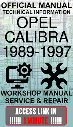Access link manuale - link, officina