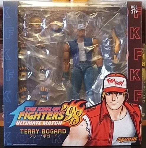 Storm terry bogard anime pro - terry,
