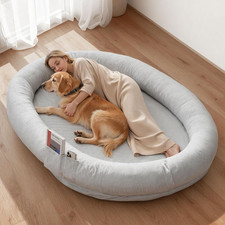 Cuccia per cani animali - cani,