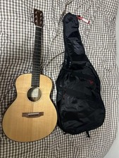 Chitarra elettrica acustica SX