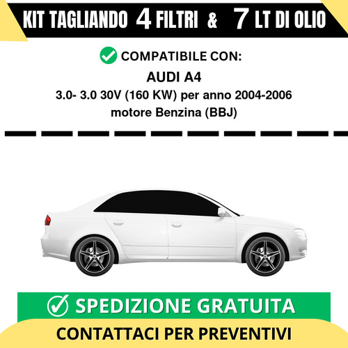 Tagliando per audi 0 - tagliando,