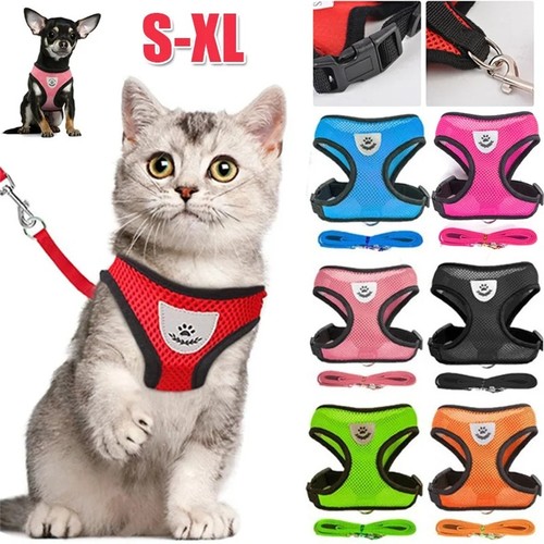 Guinzaglio imbracatura gatto - imbracatura,