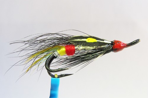Mosca salmone - salmone, boia