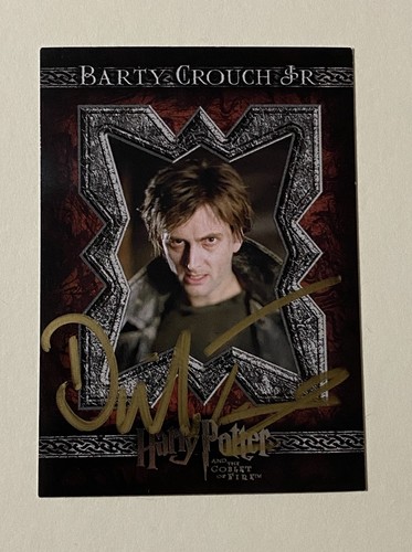Artbox harry potter gof david - harry,