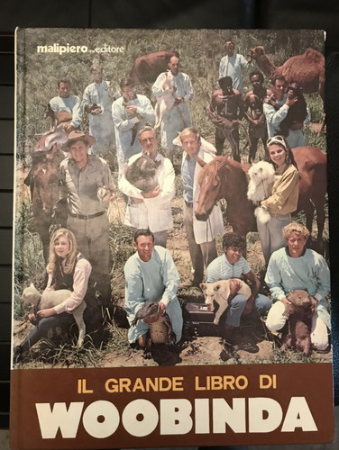 Grande libro woobinda - il,
