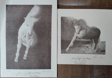 litografie Alessio Varisco a