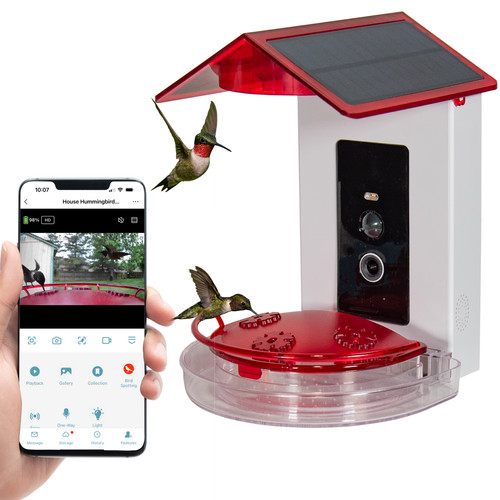 Mangiatoia per colibrì jcs - colibrì,