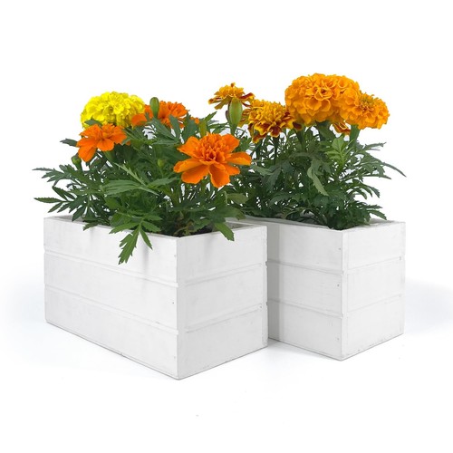 Set fioriere legno bianco - set, 2