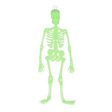 Scheletro Halloween 33cm