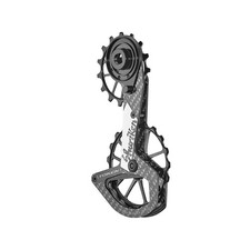 rear derailleur cage pulley