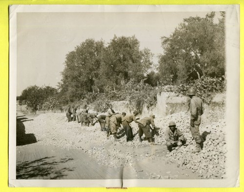 1943 sicilia prigionieri - 1943,