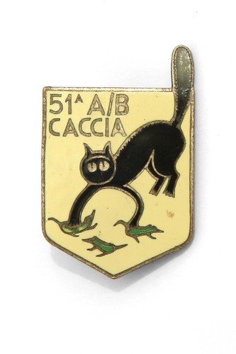 Insigne stormo - 51,