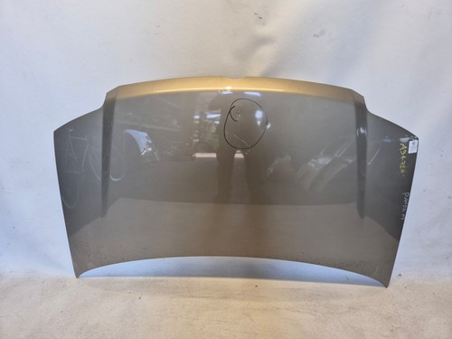 51876323 cofano ant - ant., fiat