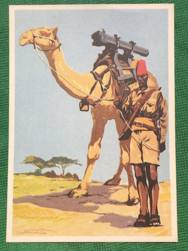 Cartolina militare libia - militare,