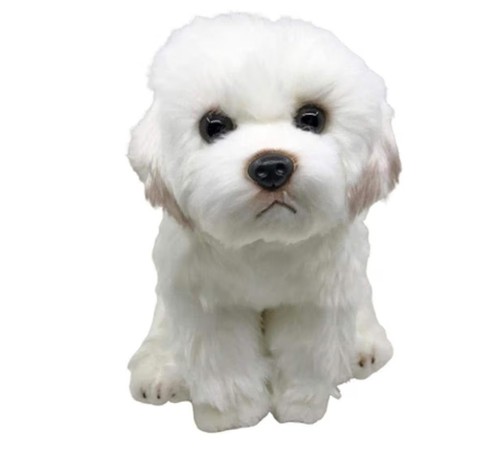 Peluche maltese - peluche,