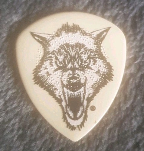 Metallica james hetfield pick - hetfield,