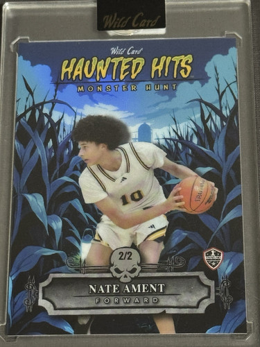 Wild card haunted hits monster - wild,