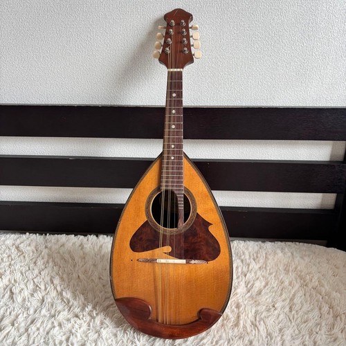 Mandolino suzuki 228 - mandolino,