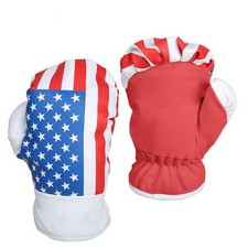 GUANTONI DA BOXE PUGILATO