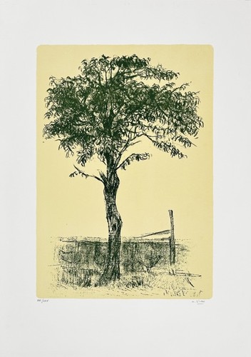 Alberto ziveri - alberto,
