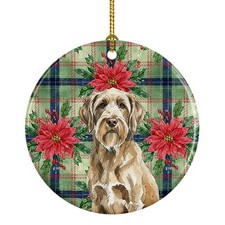Spinone Italiano Poinsetta