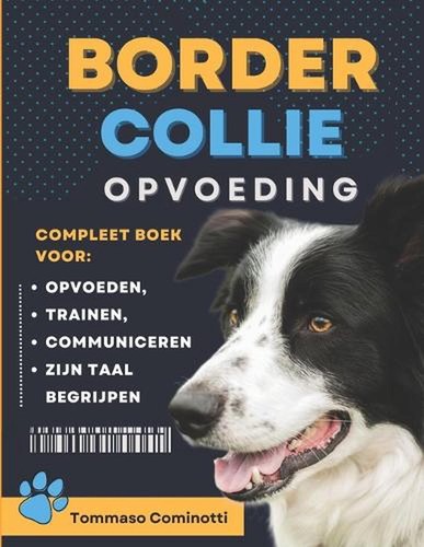 Border collie opvoeding - border,