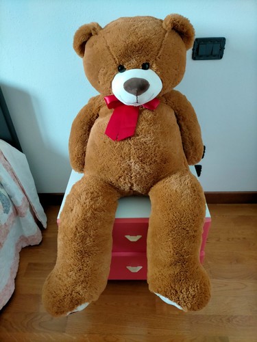Orso peluche - orso,