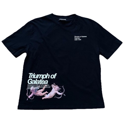 Shirt zara triumph of - t-shirt,