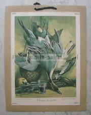 CACCIA_BECCACCIA_GERMANO