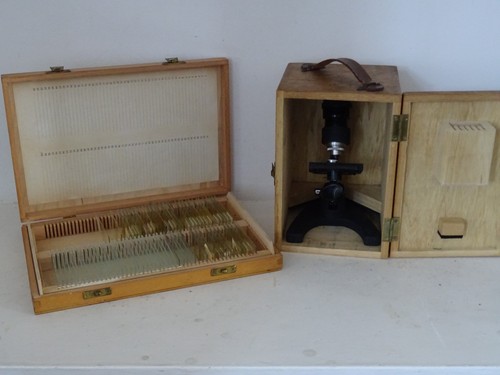 Vintage britex minor - vintage,