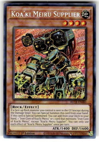 Koa meiru fornitore - koa'ki,