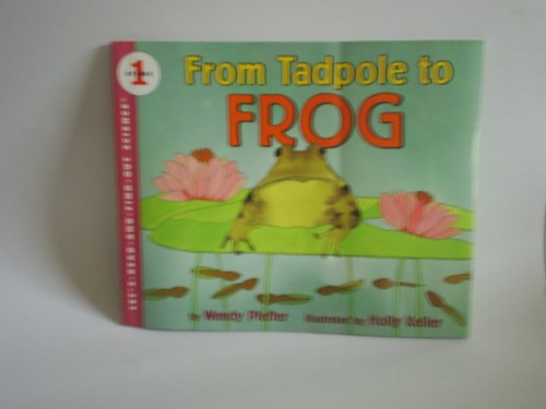 From tadpole frog - tadpole, to