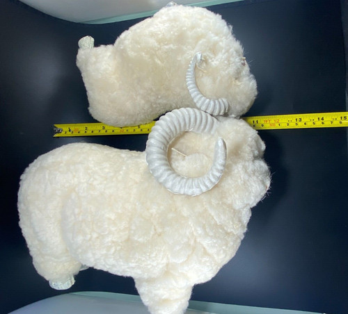 Lana big horn pecora - big, ram
