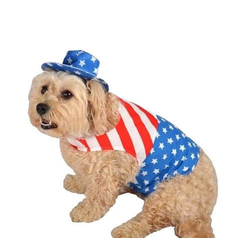 Costume cane patriottico
