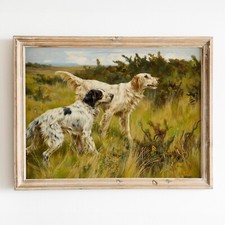 Due Setter inglesi - metà