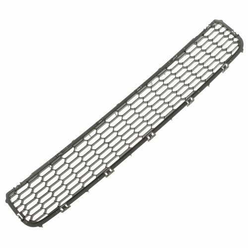 Griglia ant radiatore - radiatore, lato
