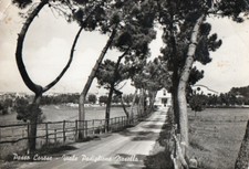 PASSO CORESE -VIALE PADIGLIONE NASELLO -RIETI