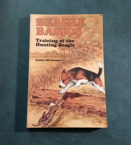 Beagle basics rabbit - basics, hunting