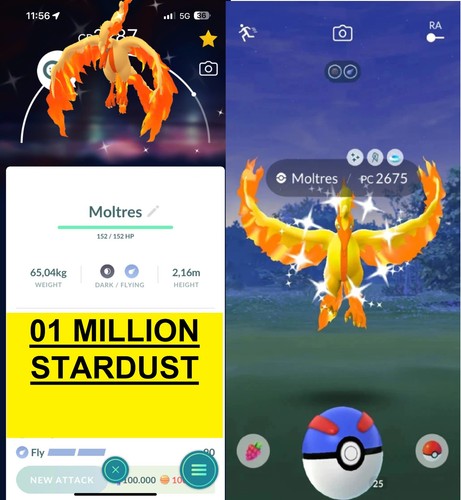 Pokémon shiny galar - shiny,