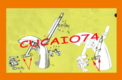 Anelli ammortizzatore forcella - anelli,