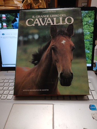 Grande libro del cavallo - libro,