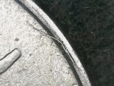 10 LIRE 1984 ERRORE -