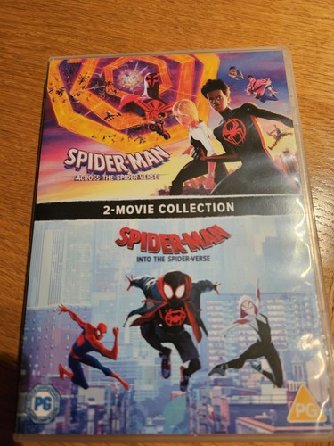 Spider man into - the,