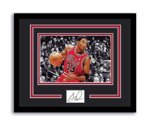 Scottie pippen foto - scottie,