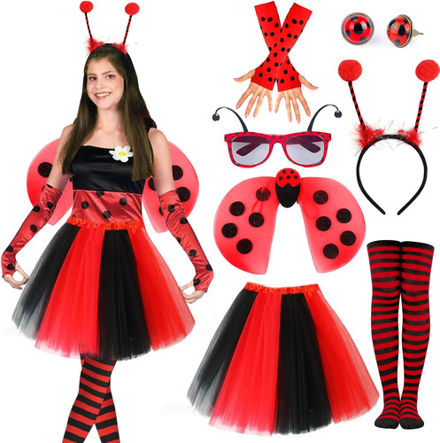 Costume coccinella da - costume, coccinella,
