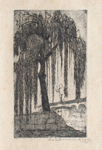 Carlo bonacina salice - carlo,