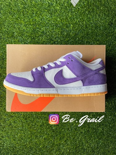 Nike dunk low - pro, court