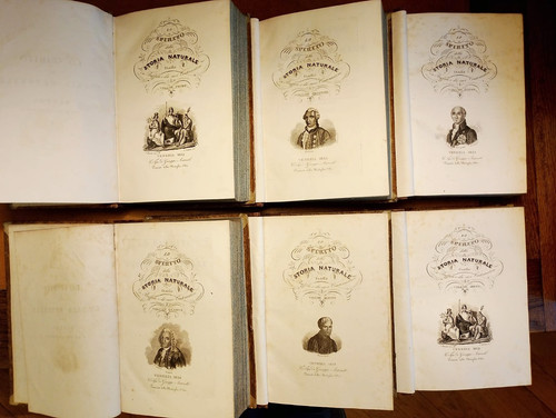 Spirito della storia - lo,